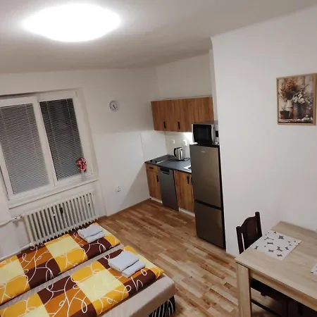 V Kraslicich Pro 2 Osoby, Pohranicni Straze K4 *